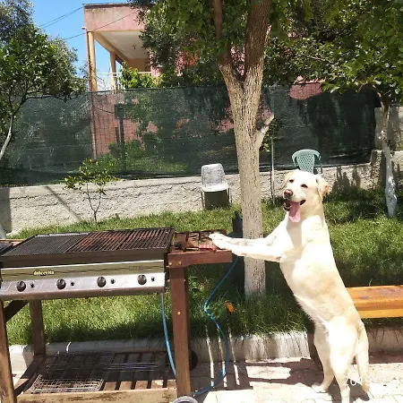Casa Prifti * Vlore